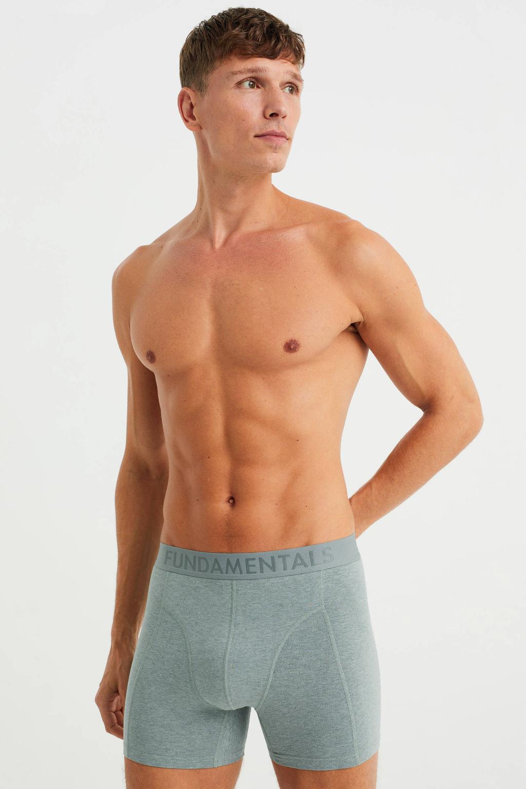 WE Fundamentals boxershort grijs
