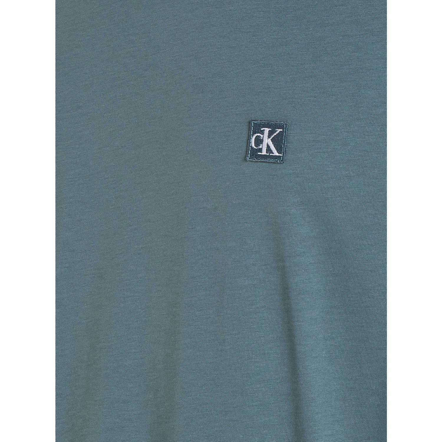 CALVIN KLEIN JEANS T-shirt met logo goblin blue