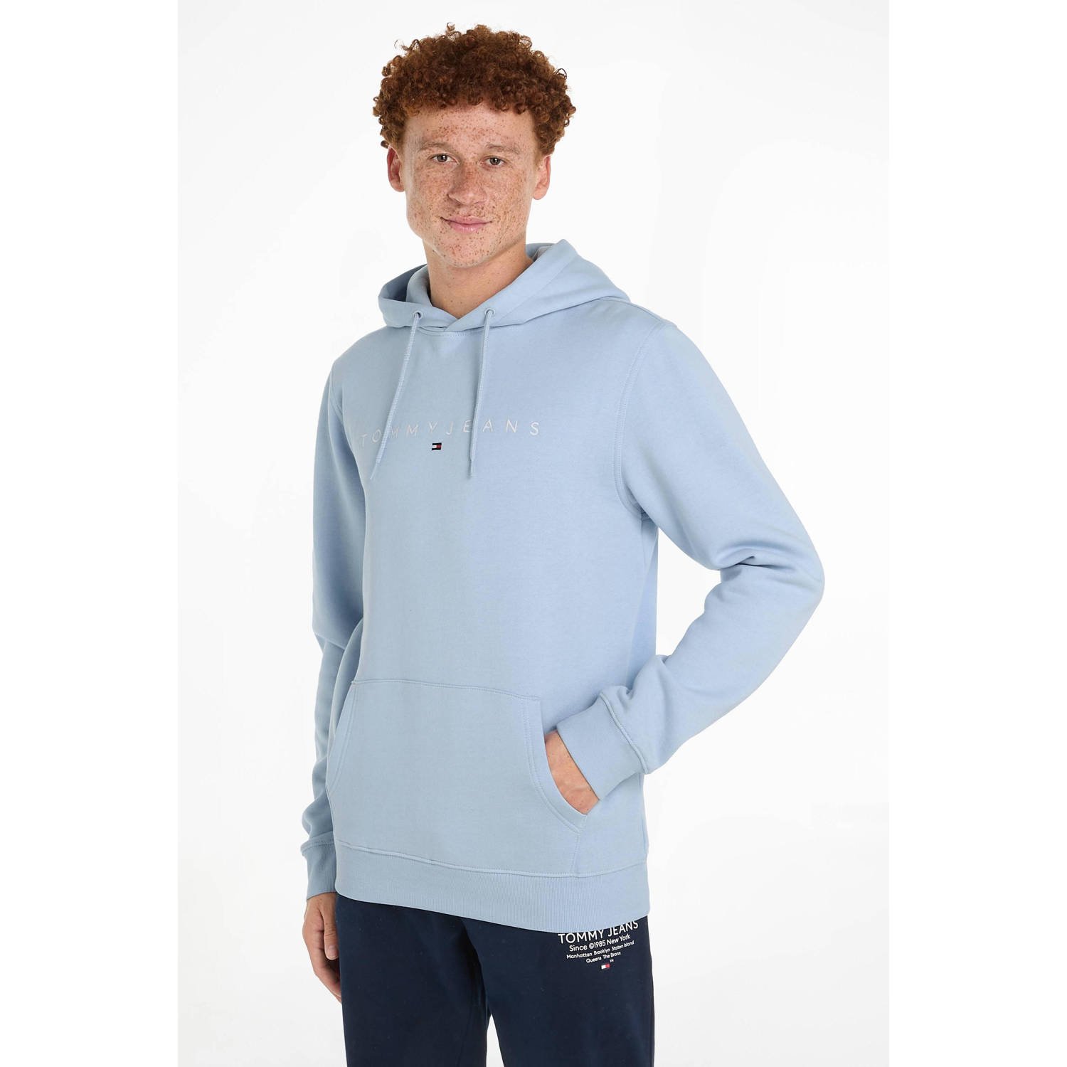 TOMMY JEANS Heren Truien & Vesten Tjm Reg Linear Logo Hoodie Ext Lichtblauw