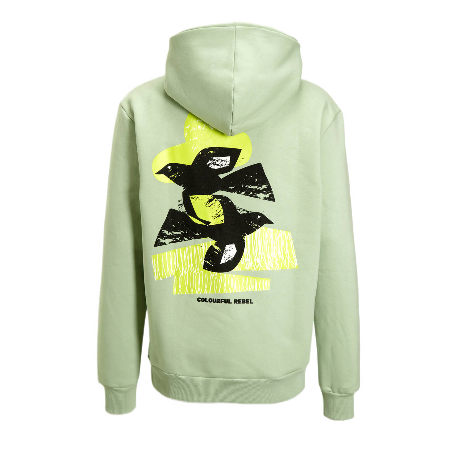Colourful Rebel hoodie Birds Sky met backprint light mint