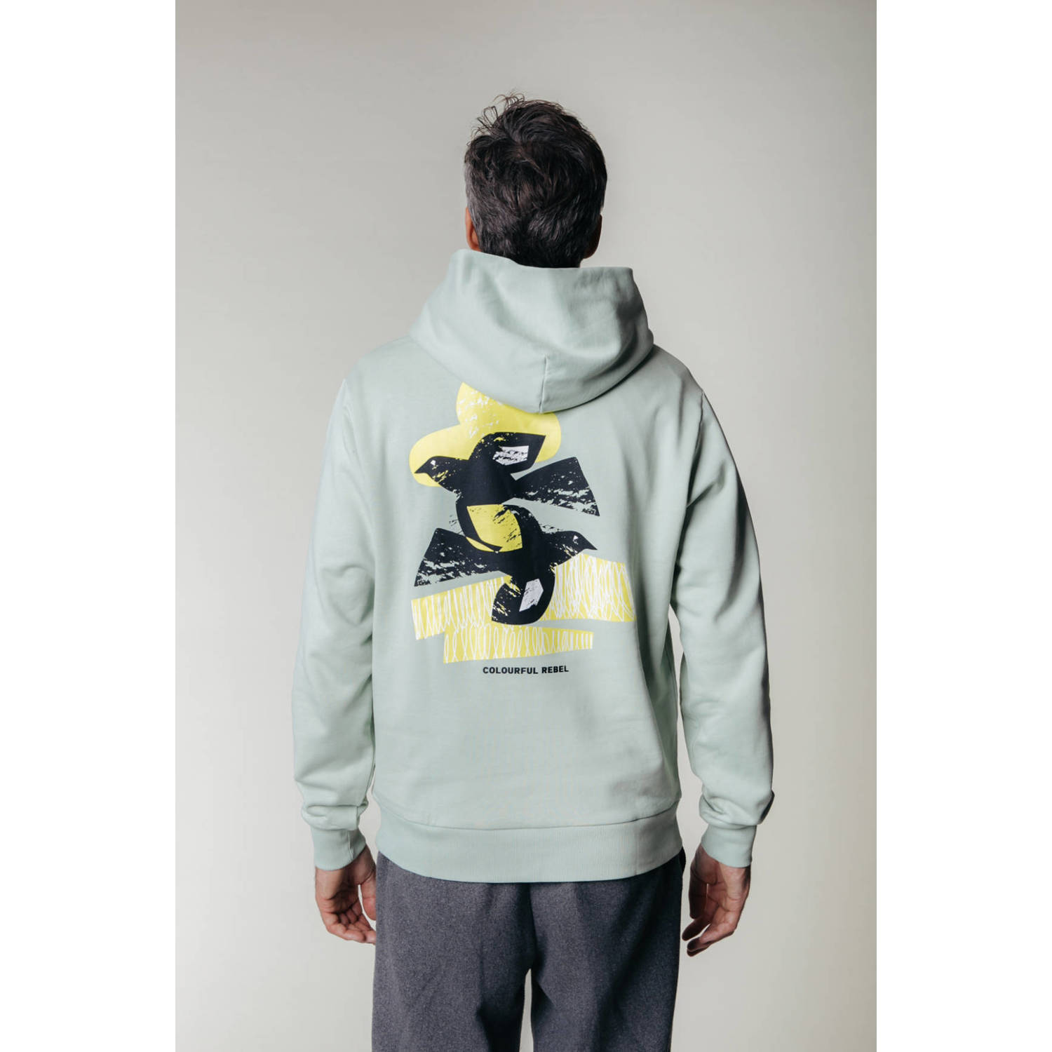 Colourful Rebel hoodie Birds Sky met backprint light mint