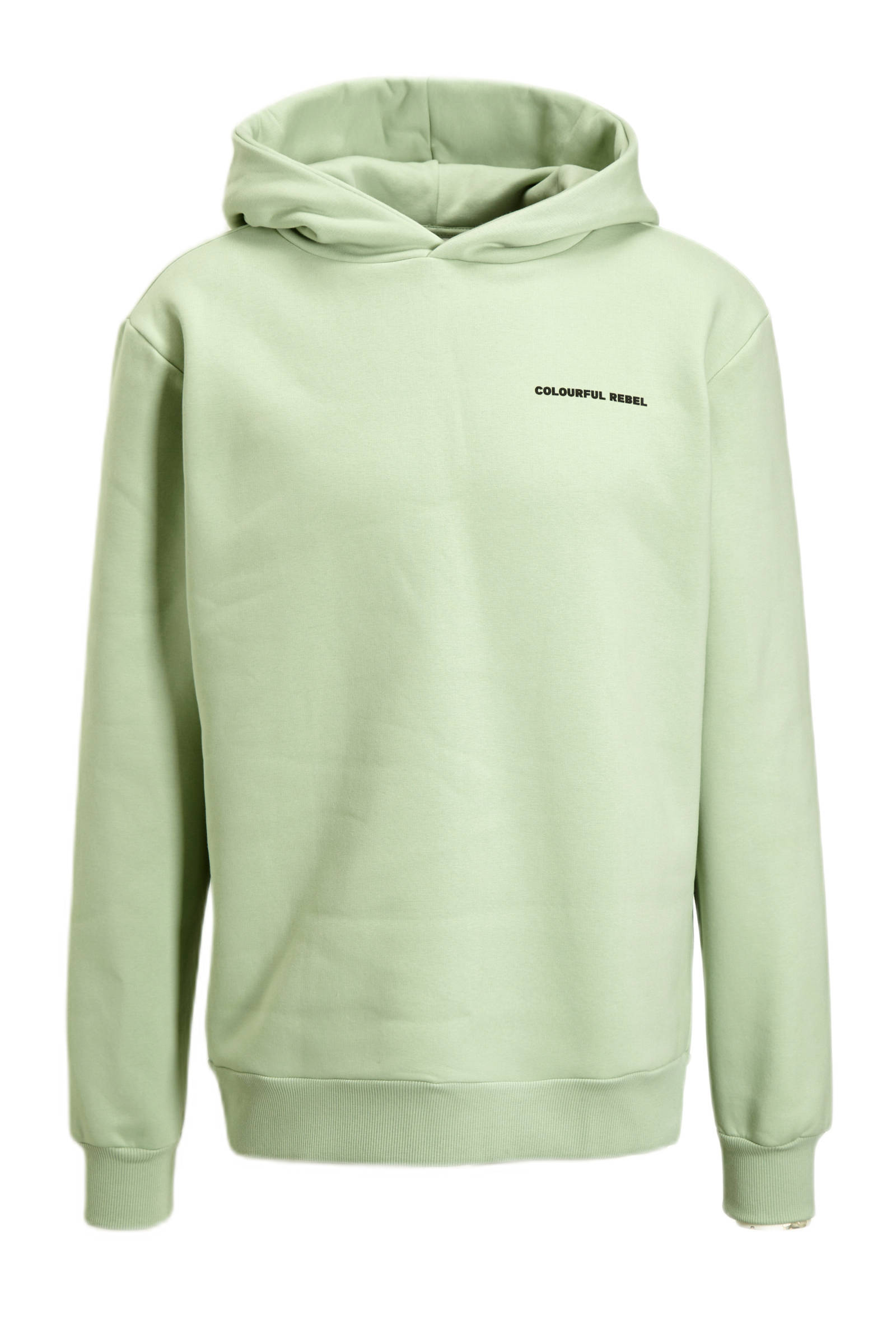Colourful Rebel hoodie Birds Sky met backprint light mint wehkamp