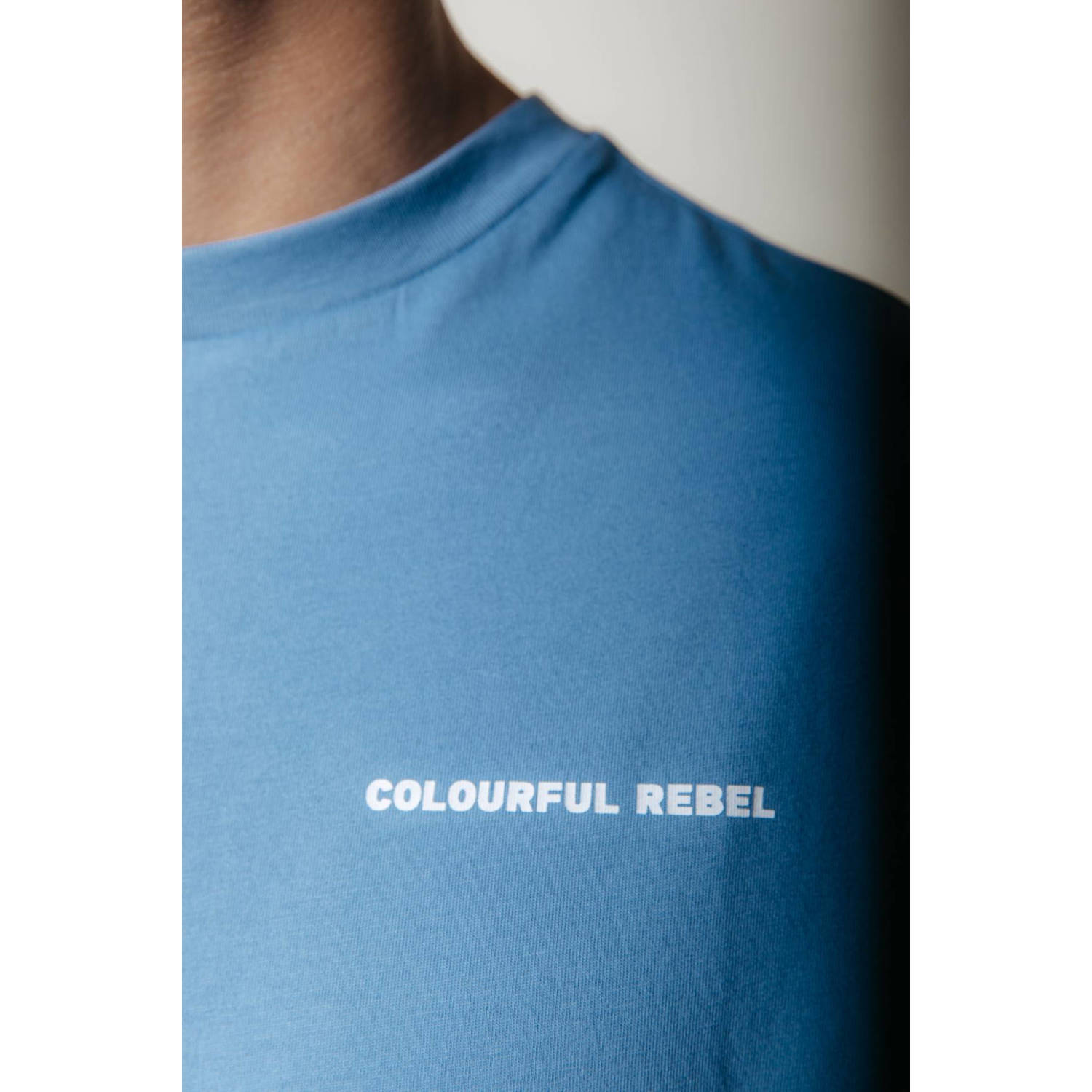 Colourful Rebel T-shirt Wave Birds met backprint dark grey blue