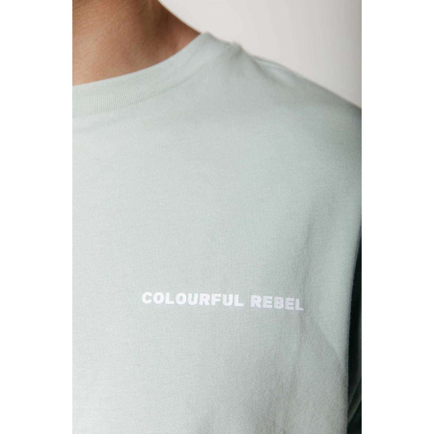Colourful Rebel T-shirt met logo light mint