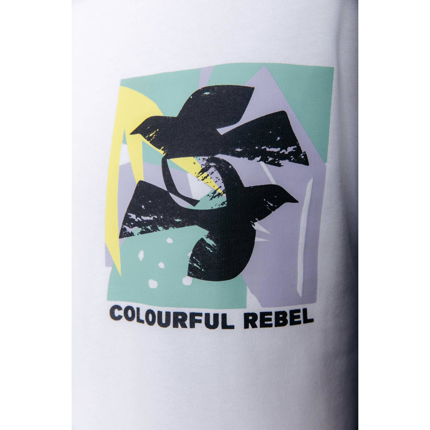 Colourful Rebel T-shirt Birds Frame met printopdruk wit