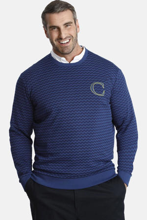 sweater blauw 