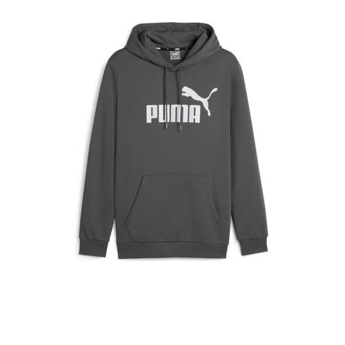 Puma hoodie grijs