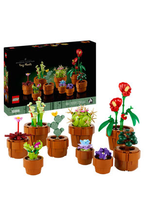 Miniplantjes 10329
