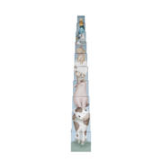 thumbnail: Little Dutch Little Farm  kartonnen stapeltoren