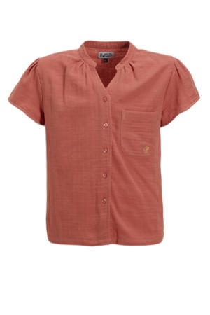 blouse Pooja terra