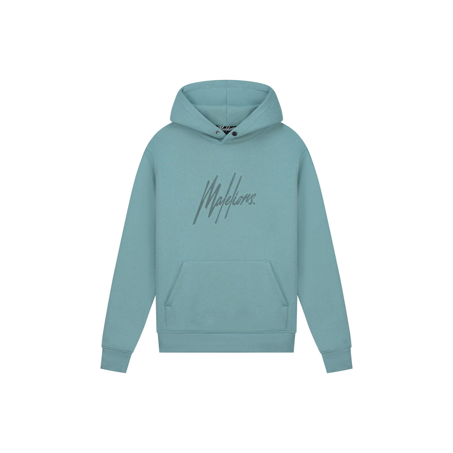 Malelions Gestreepte Signature Hoodies Herenlions Blue Heren