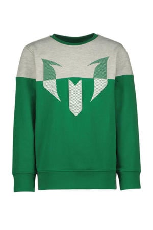 sweater Nessi met printopdruk groen/grijs