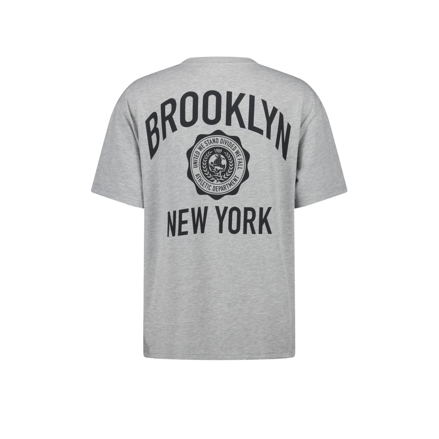 America Today oversized T-shirt Emile met backprint mid grey melange