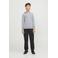 JACK & JONES JUNIOR hoodie JJEBRADLEY SWEAT HOOD NOOS JNR grijs melange