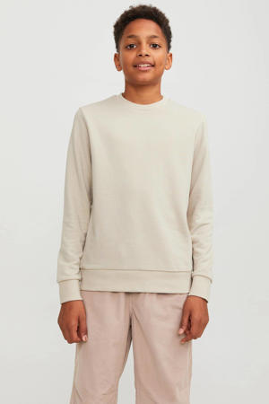 sweater JJEBRADLEY ecru