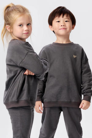 sweater Nancun van katoen grijs