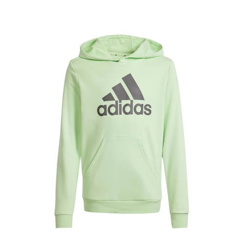 adidas Sportswear French terry hoodie lichtgroen/grijs