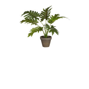 kunstplant Philodendron