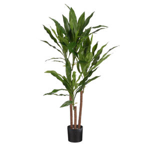 kunstplant Dracaena