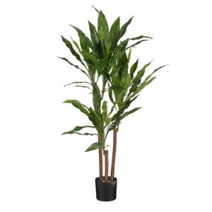 kunstplant Dracaena