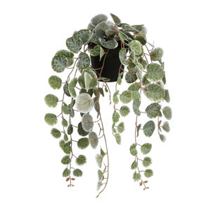 kunstplant Ceropegia Woodii hangend