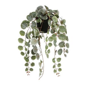 kunstplant Ceropegia Woodii hangend
