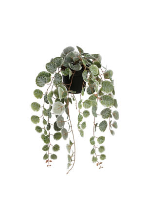 kunstplant Ceropegia Woodii hangend