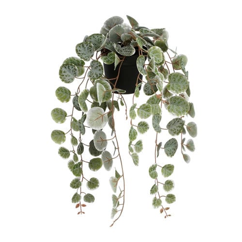 Mica Decorations kunstplant Ceropegia Woodii hangend afbeelding