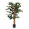 Mica Decorations kunstplant Ficus