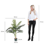 thumbnail: Mica Decorations kunstplant Areca palm