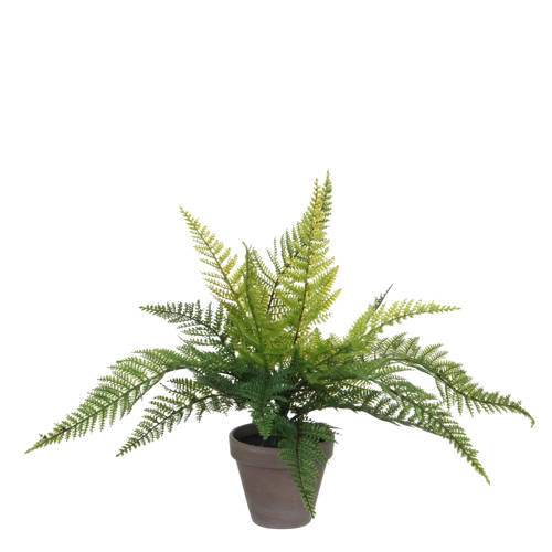 Mica Decorations kunstplant Varen afbeelding