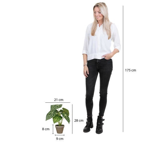 Mica Decorations kunstplant Caladium - groen