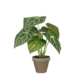 kunstplant Caladium