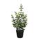 Mica Decorations kunstplant Eucalyptus in pot
