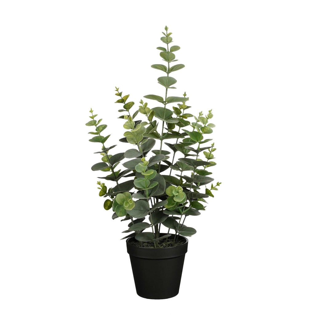 Mica Decorations kunstplant Eucalyptus in pot