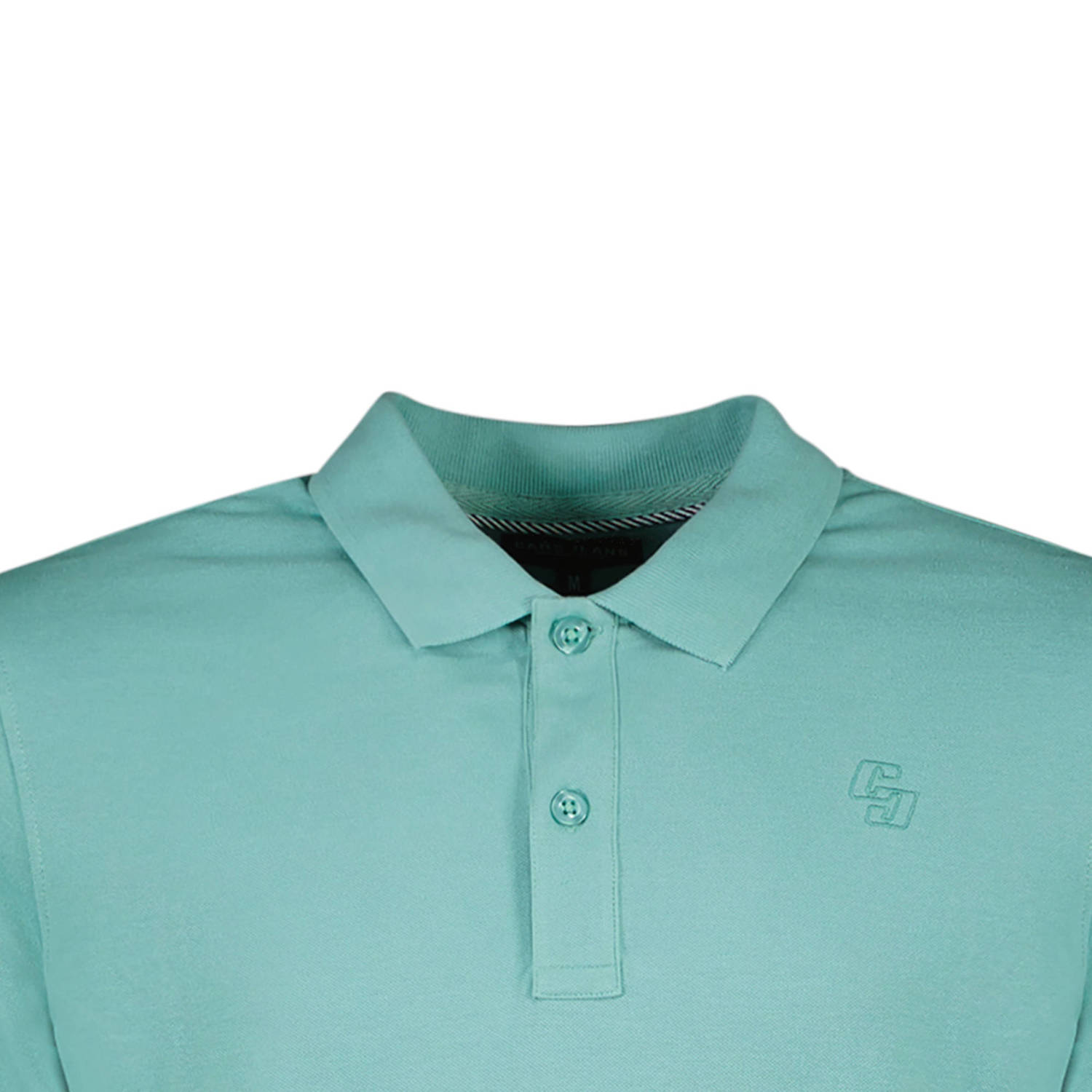 Cars polo DARIO met logo mint