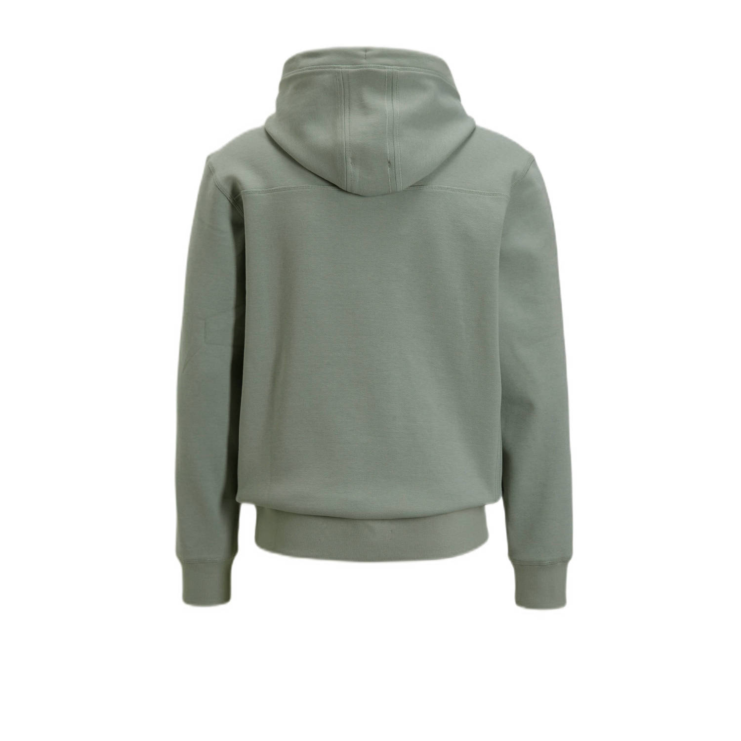 CHASIN' hoodie HARPER met logo lichtgroen