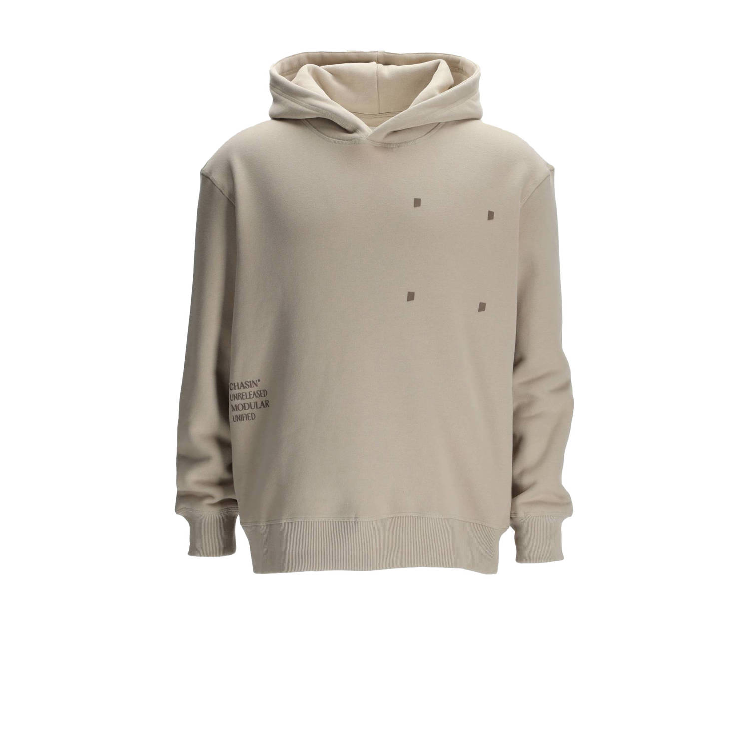 CHASIN' hoodie DASCO met backprint light grey