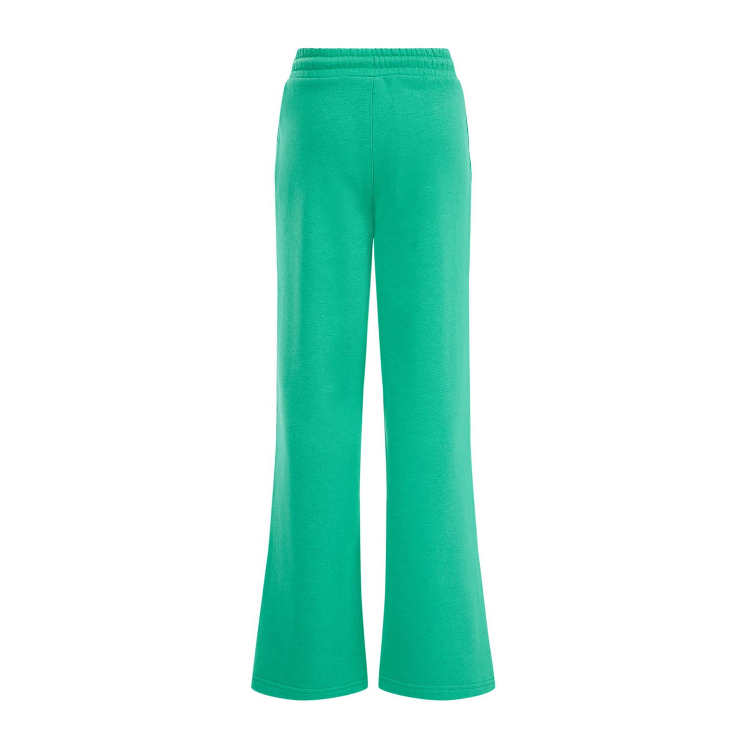 WE Fashion Blue Ridge straight fit broek groen