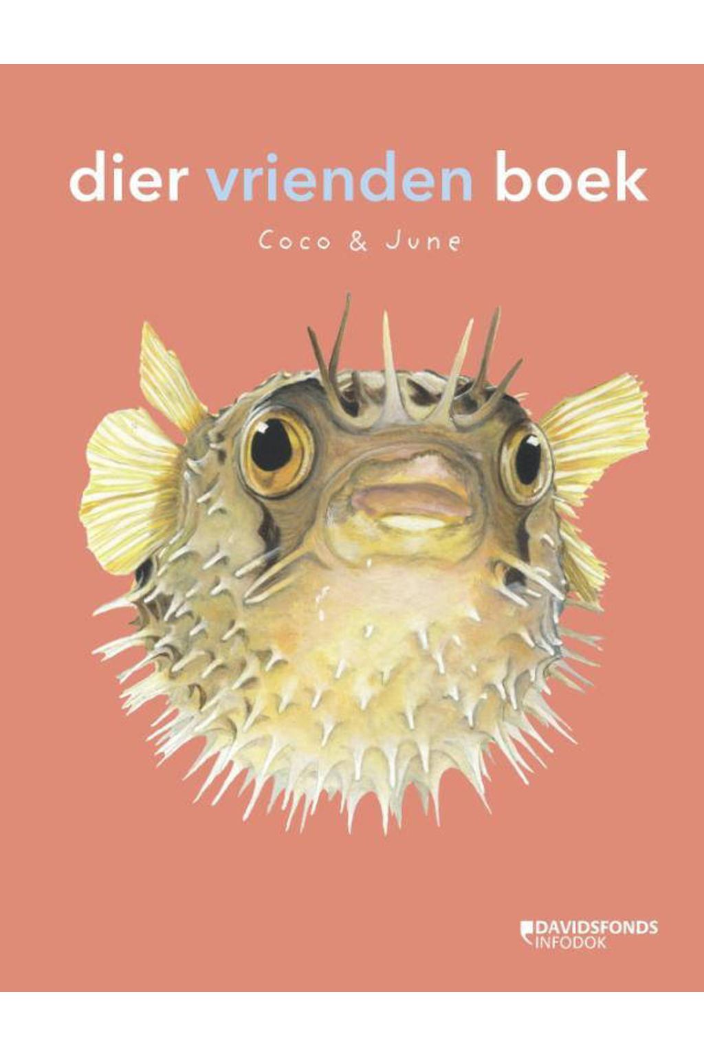 Coco & June dier vrienden boek | wehkamp