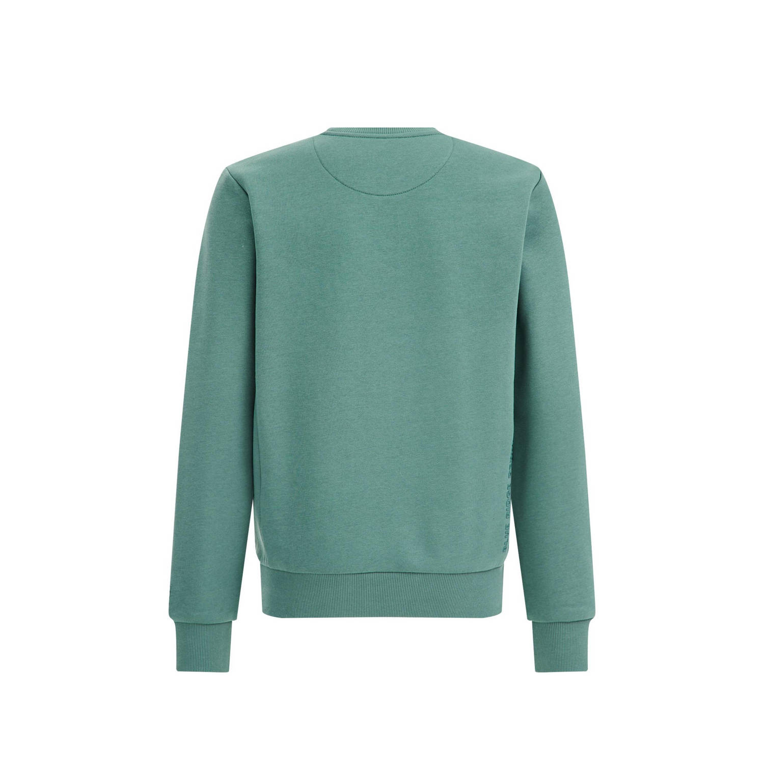 WE Fashion unisex sweater Topaz