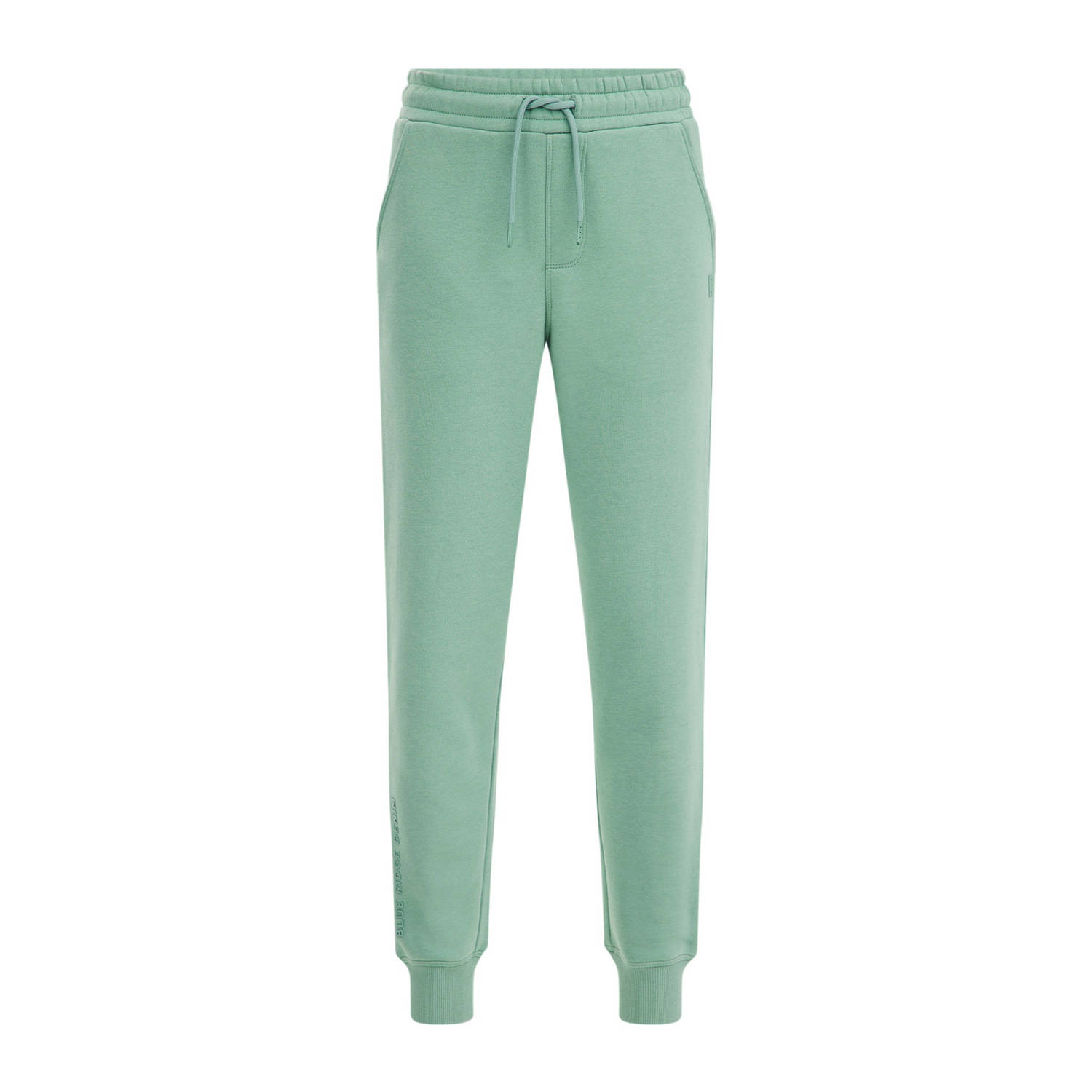 WE Fashion Blue Ridge regular fit joggingbroek bright petrol Groen Katoen 116