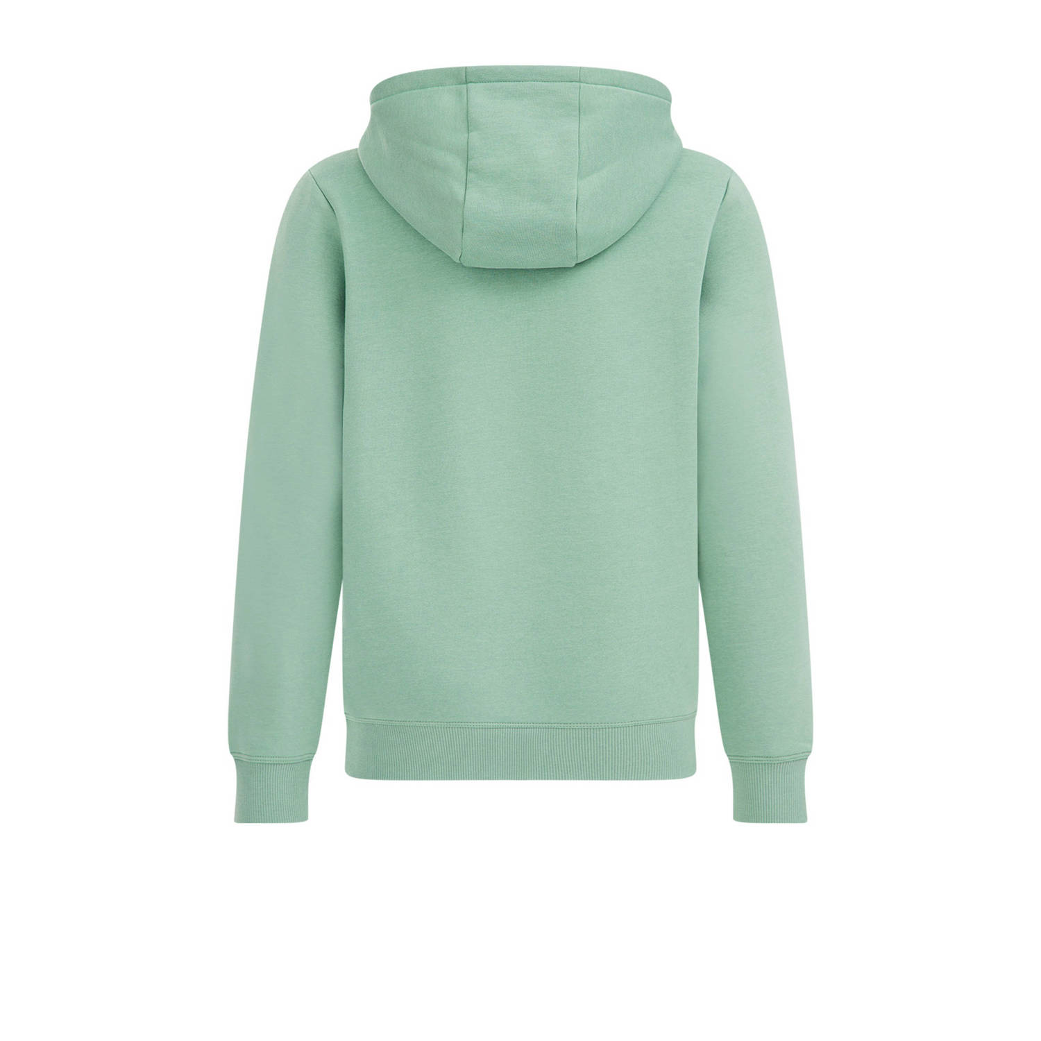 WE Fashion Blue Ridge hoodie bright petrol