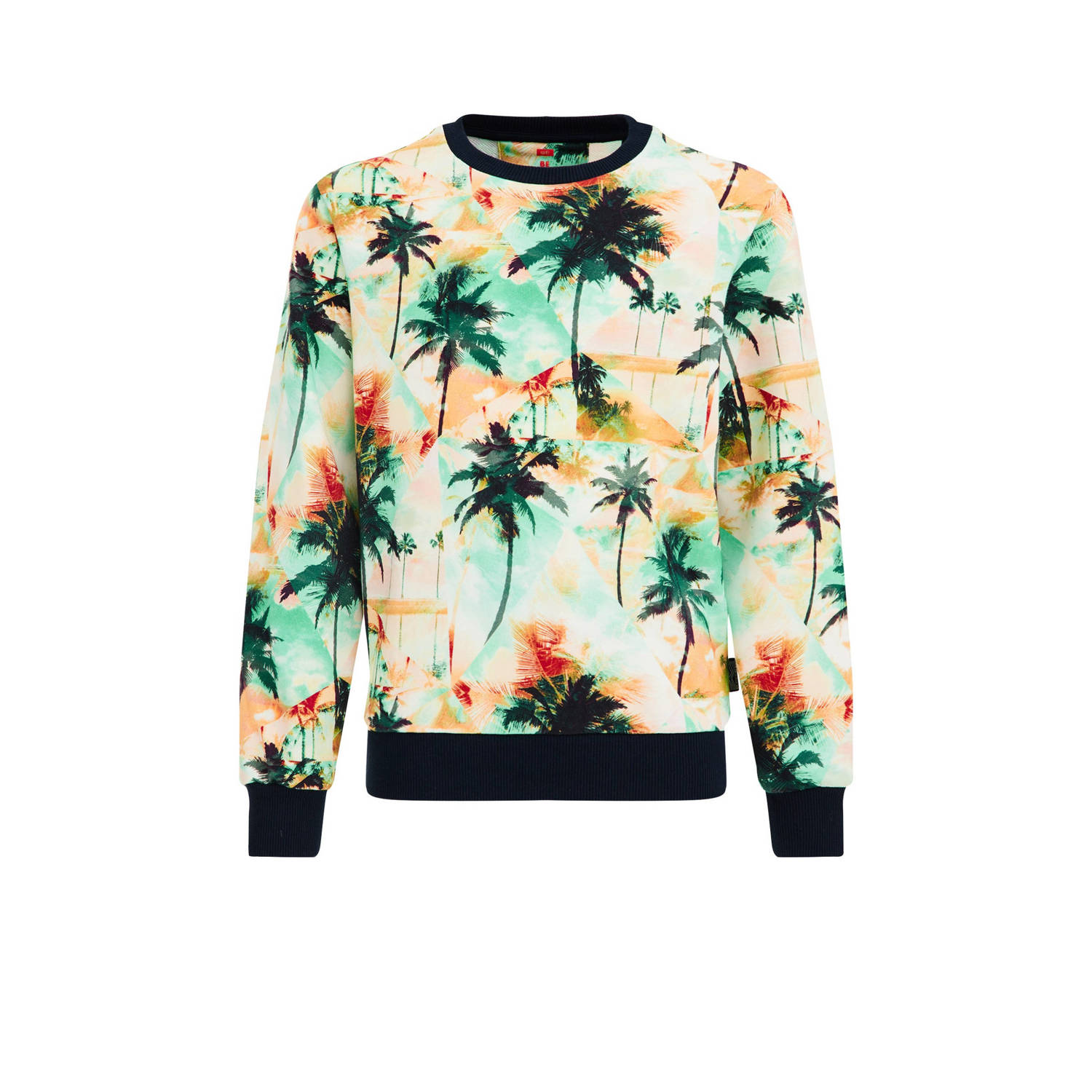 WE Fashion sweater met all over print multi All over print 110 116