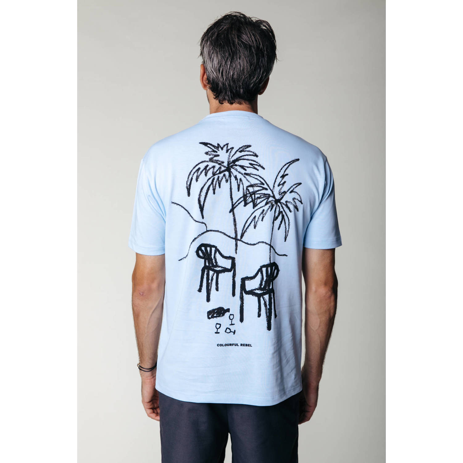 Colourful Rebel T-shirt met backprint light sky blue