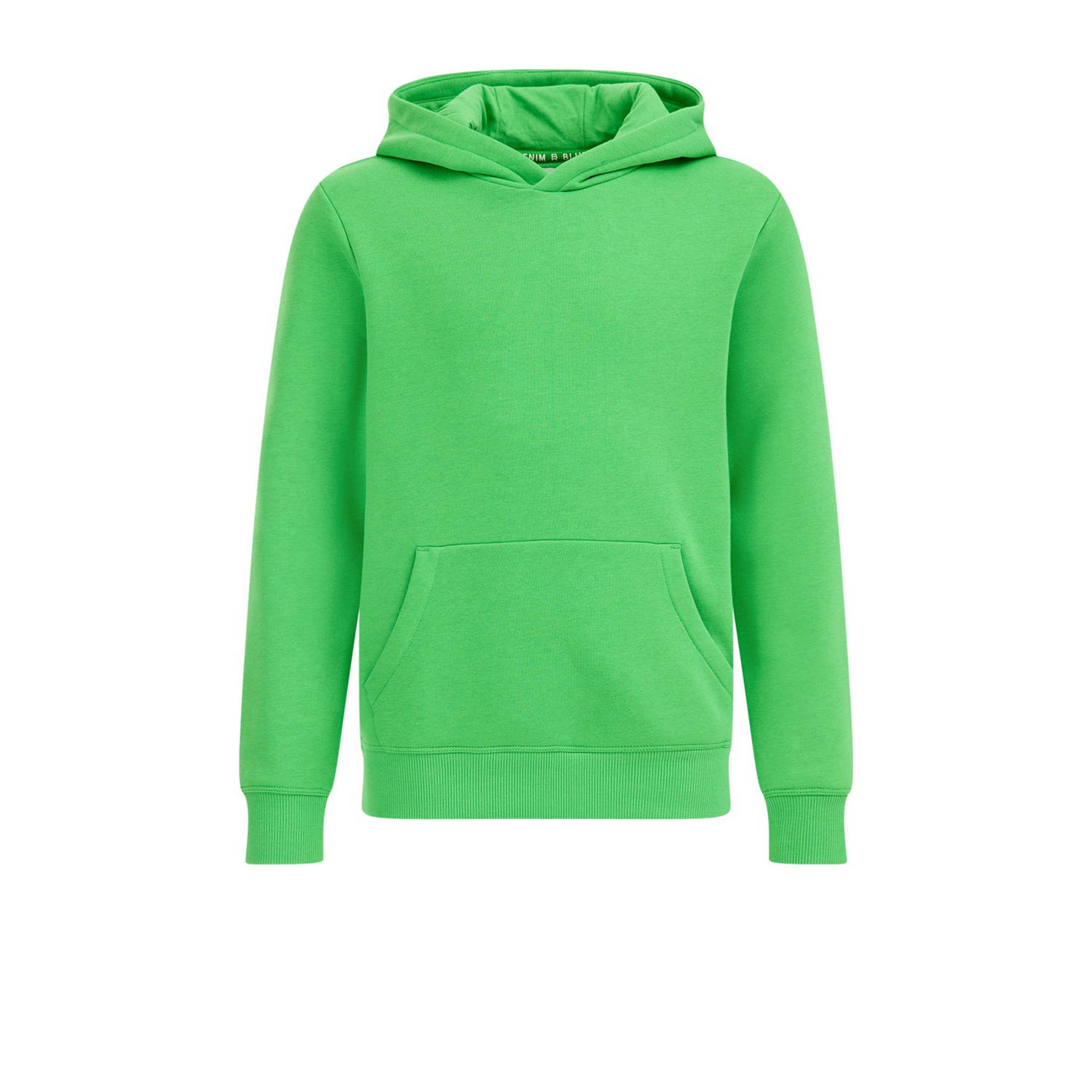 WE Fashion Blue Ridge hoodie force Sweater Groen 110 116