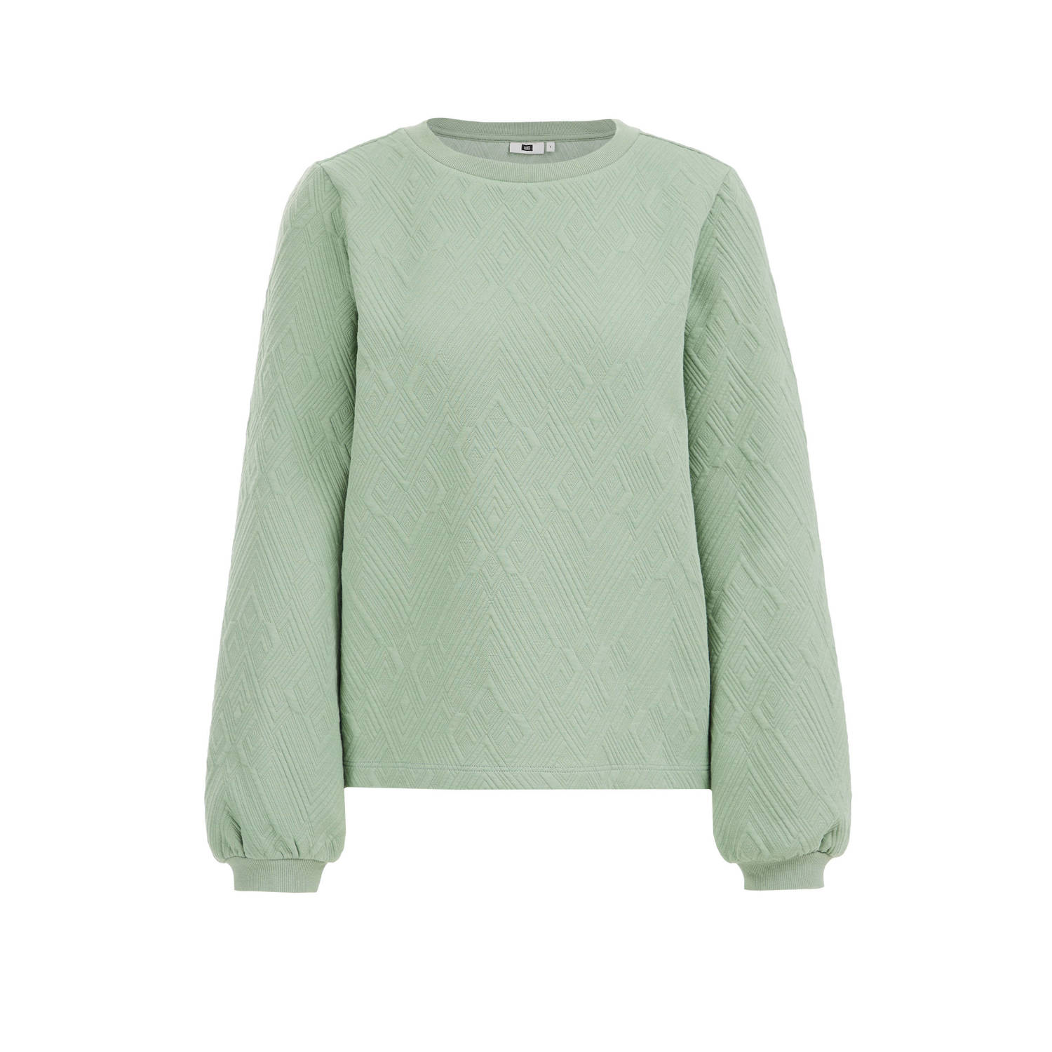 WE Fashion sweater mintgroen