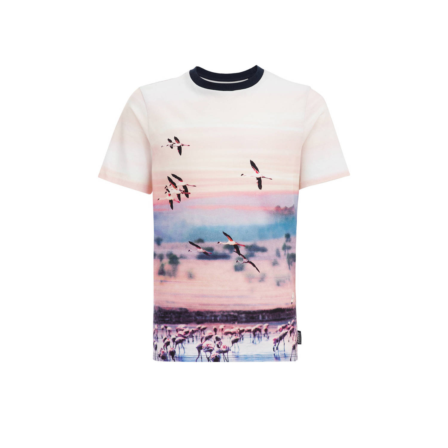 WE Fashion T-shirt met all over print wit roze donkerblauw Multi Jongens Katoen Ronde hals 110 116