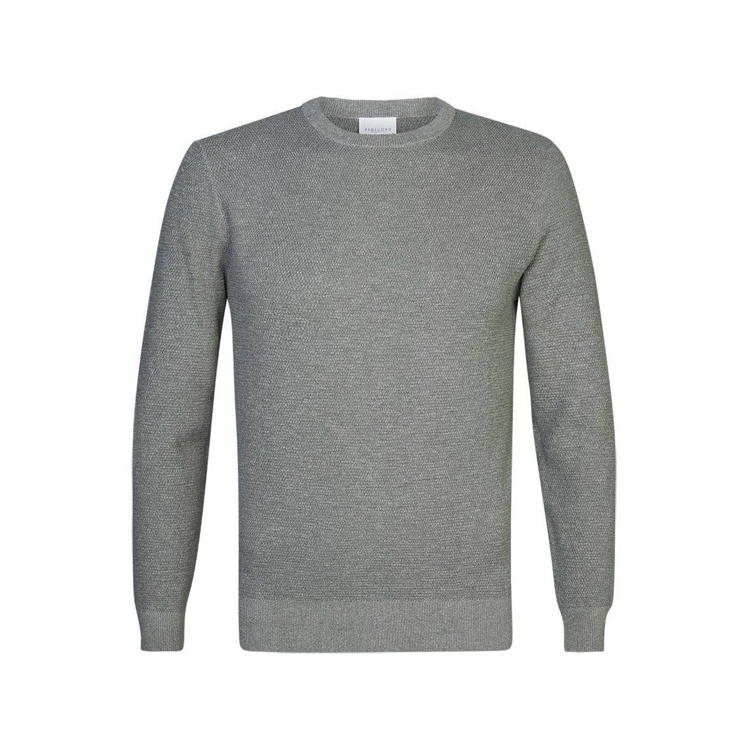 PROFUOMO Heren Truien & Vesten Pullover Crew Neck Mint