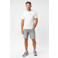 Cars regular fit short HUNTER grey used